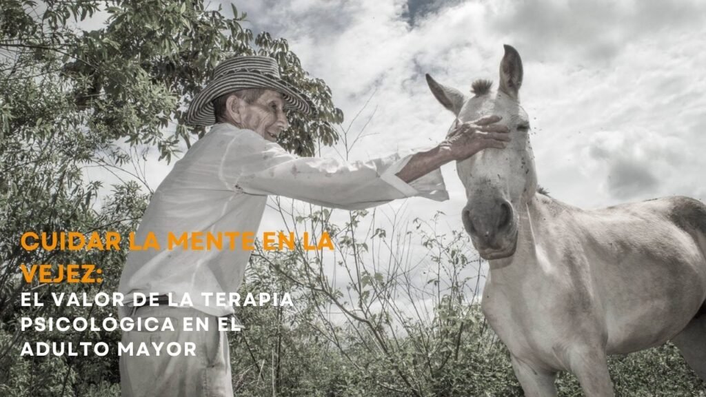 terapia adulto mayor